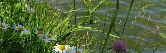 Якою буде погода у Новомосковську цього дня