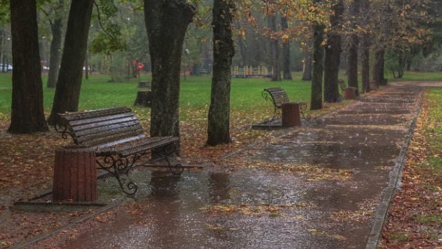 Погода у Новомосковську 23 листопада
