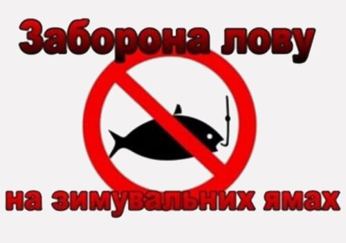 З 1 листопада почали діяти обмеження на вилов риби у водоймах Дніпропетровщини