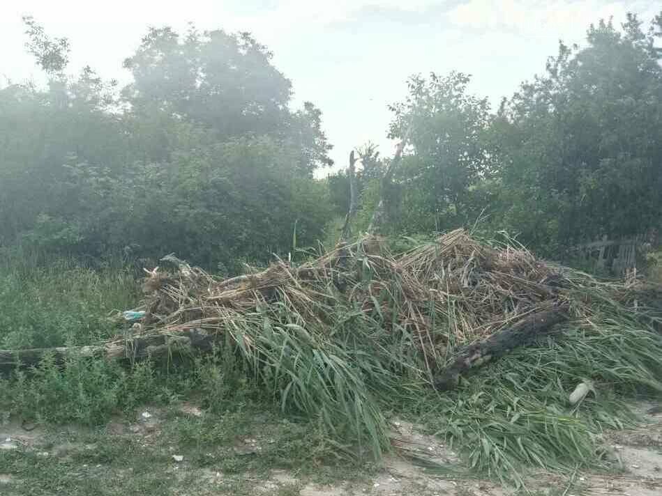 Новомосковск: на Вороновке почистили дно будущего пляжа, фото-7 Новомосковск: на Вороновке почистили дно будущего пляжа, фото-7