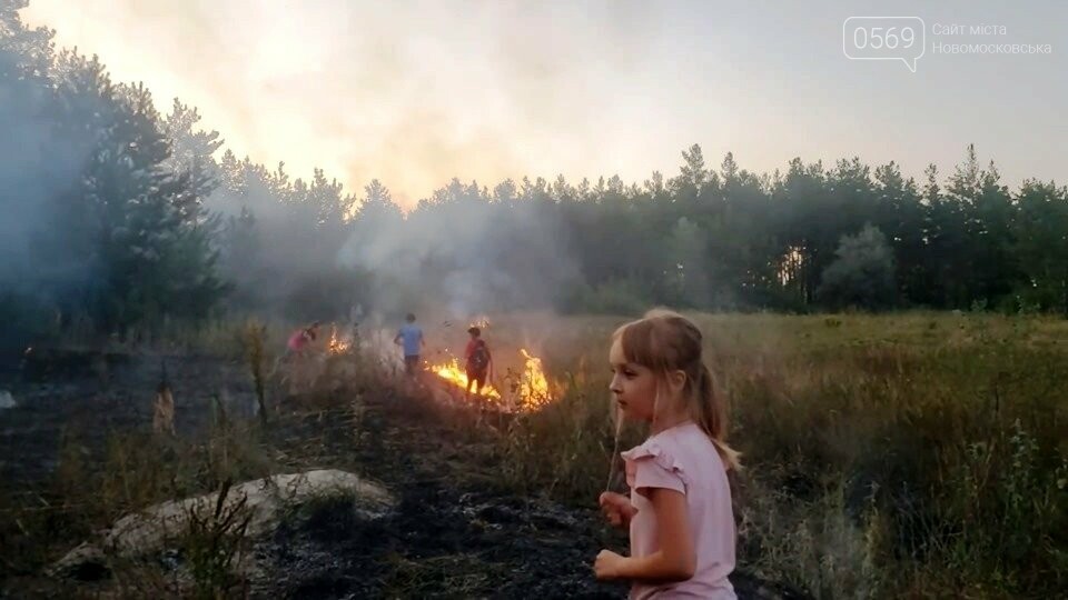 У Піщанській ОТГ діти потушили підпалений кимось ліс, фото-1 У Піщанській ОТГ діти потушили підпалений кимось ліс, фото-1