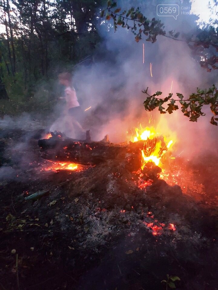 У Піщанській ОТГ діти потушили підпалений кимось ліс, фото-2 У Піщанській ОТГ діти потушили підпалений кимось ліс, фото-2
