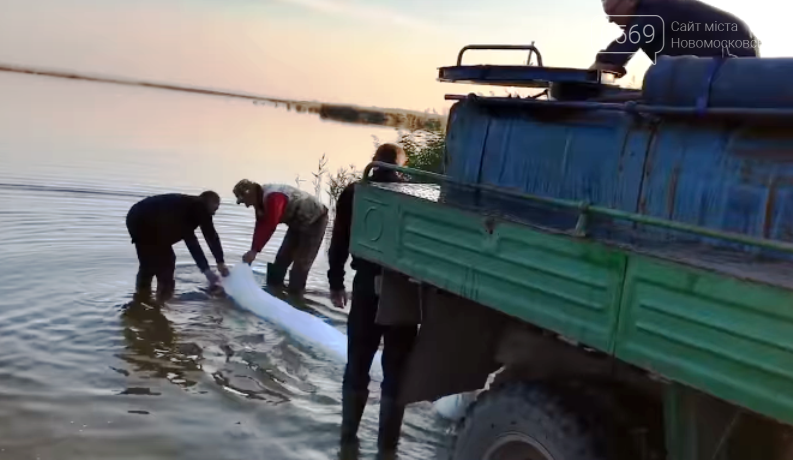 Одне з підприємств Піщанської ОТГ кожного року, власним кош..., фото-1 Одне з підприємств Піщанської ОТГ кожного року, власним коштом, «зариблює» Самарські плавні, фото-1