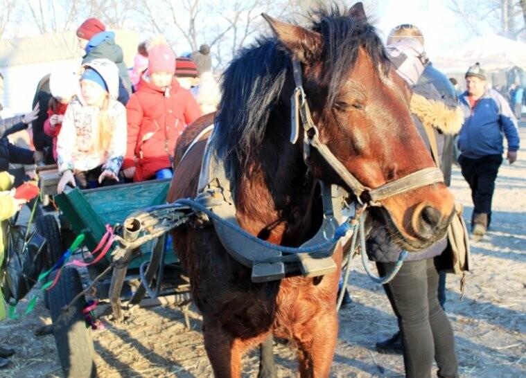 У Новомосковську відсвяткували Масляну: фото, фото-19 У Новомосковську відсвяткували Масляну: фото, фото-19
