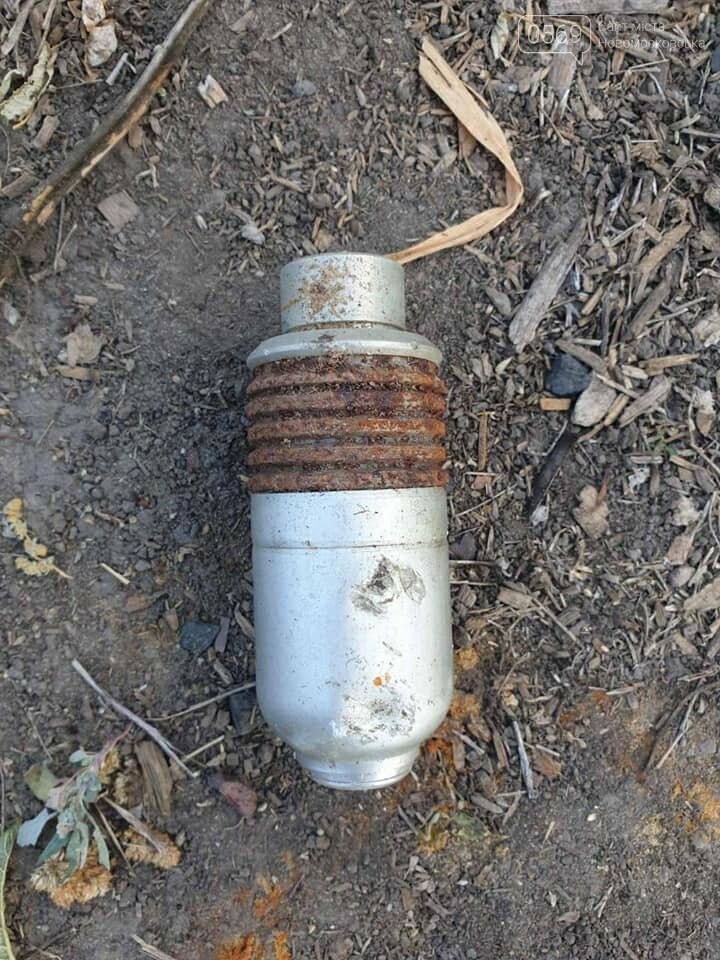 У Новомосковському районі поліцейські вилучили боєприпаси, фото-1 У Новомосковському районі поліцейські вилучили боєприпаси, фото-1