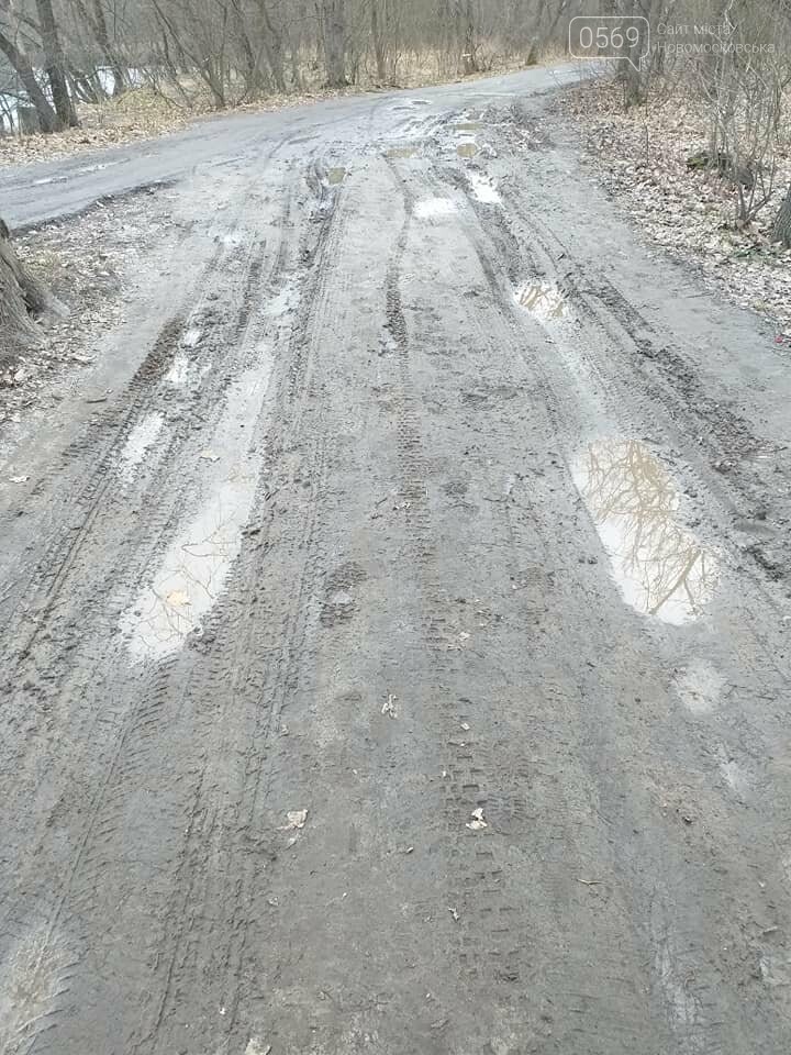 Мешканців Новомосковщини і усієї області просять не шуміти в екосистемах: а що в Самарському лісі?, фото-1