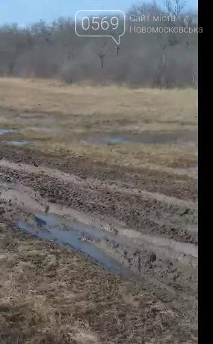 Мешканців Новомосковщини і усієї області просять не шуміти в екосистемах: а що в Самарському лісі?, фото-3