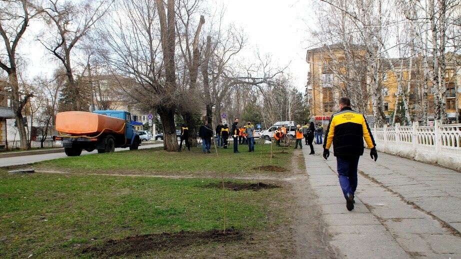 120 лип висадили співробітники «Інтерпайп НМТЗ» та комунальники Новомосковська, фото-1