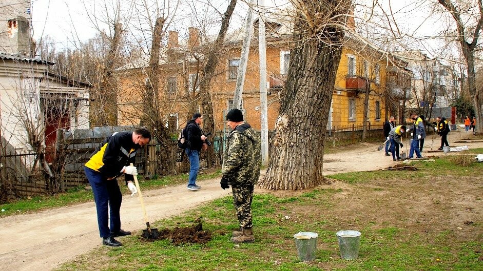 120 лип висадили співробітники «Інтерпайп НМТЗ» та комунальники Новомосковська, фото-7