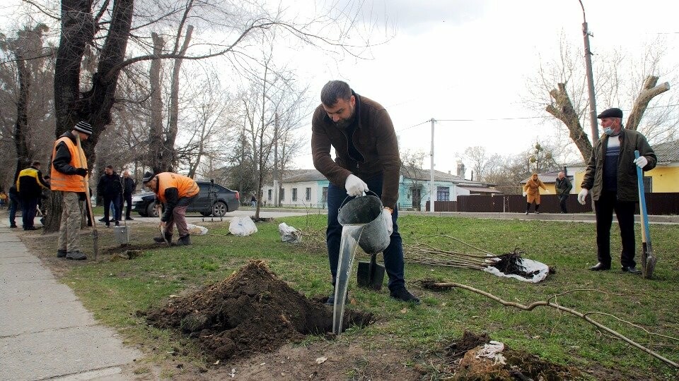 120 лип висадили співробітники «Інтерпайп НМТЗ» та комунальники Новомосковська, фото-6