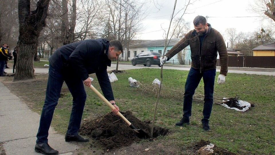 120 лип висадили співробітники «Інтерпайп НМТЗ» та комунальники Новомосковська, фото-5
