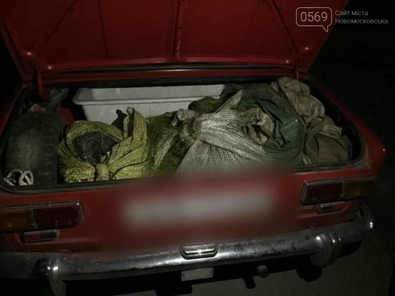 У Новомосковському районі поліцейські виявили автомобіль із незаконно виловленою рибою, фото-1