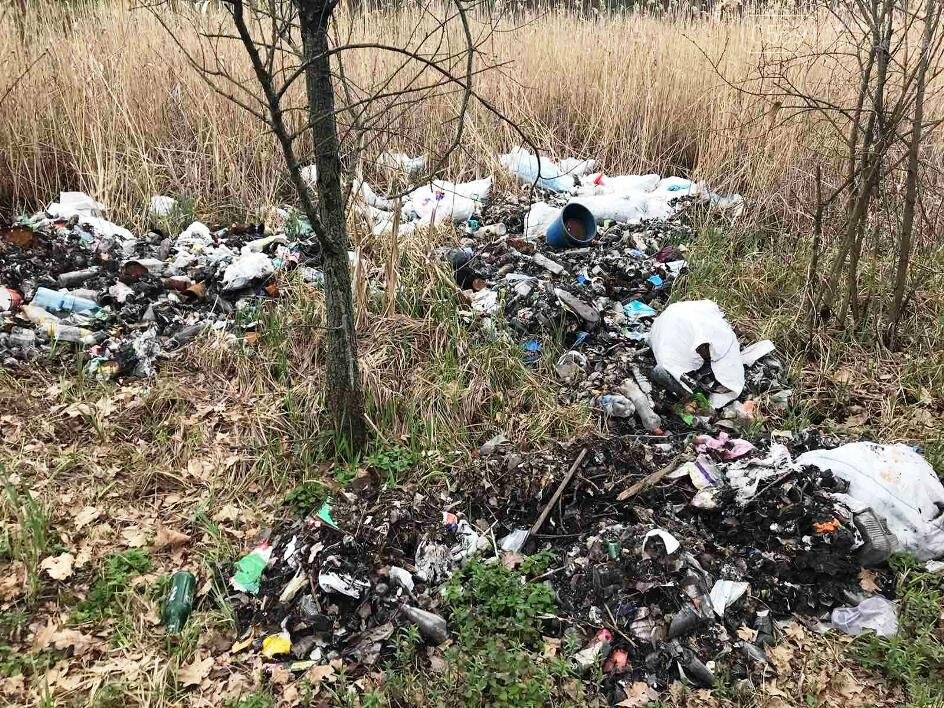 Більше 100 мішків сміття зібрали і вивезли волонтери з ліс..., фото-4 Більше 100 мішків сміття зібрали і вивезли волонтери з лісу, що поблизу Новомосковська, фото-4
