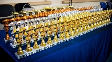 11 нагород у підсумку: вдало виступили каратисти СК "IRINA" з Новомосковщини на відкритому Кубку у Покровську, фото-17