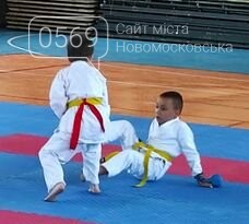 11 нагород у підсумку: вдало виступили каратисти СК "IRINA" з Новомосковщини на відкритому Кубку у Покровську, фото-13