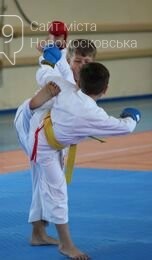 11 нагород у підсумку: вдало виступили каратисти СК "IRINA" з Новомосковщини на відкритому Кубку у Покровську, фото-3