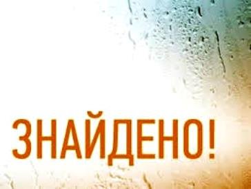 Поліцейські Новомосковська упродовж трьох годин розшукали зниклу дитину 