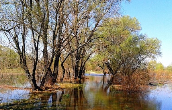 Якою буде погода у Новомосковську цього дня