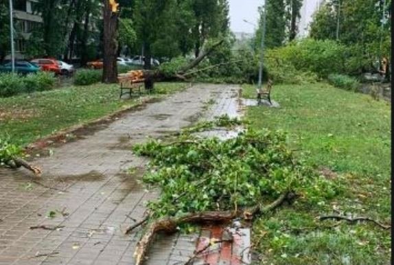 У Новомосковську під час негоди були випадки обриву проводів: надзвичайники застерігають